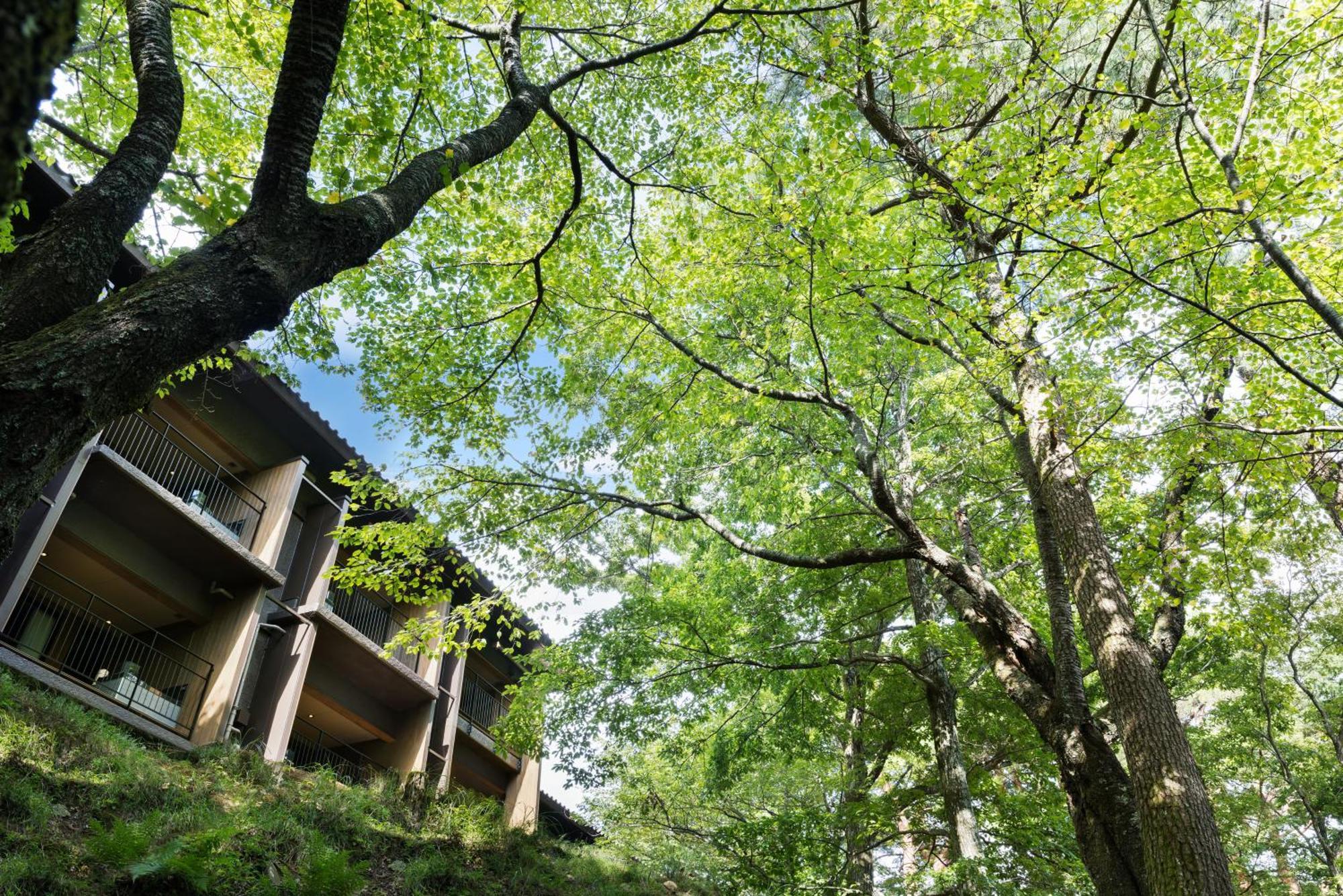 Laforet Shuzenji Sanshisuimei Izu  Exterior photo